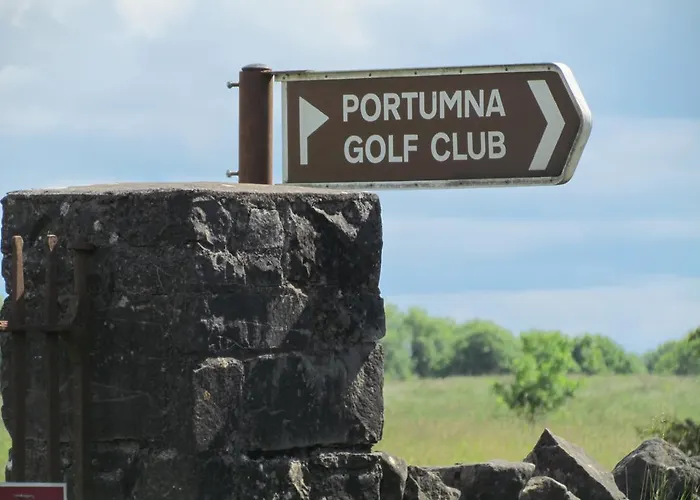 Gate 3* Portumna